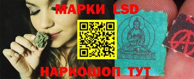 прущие грибы Апшеронск