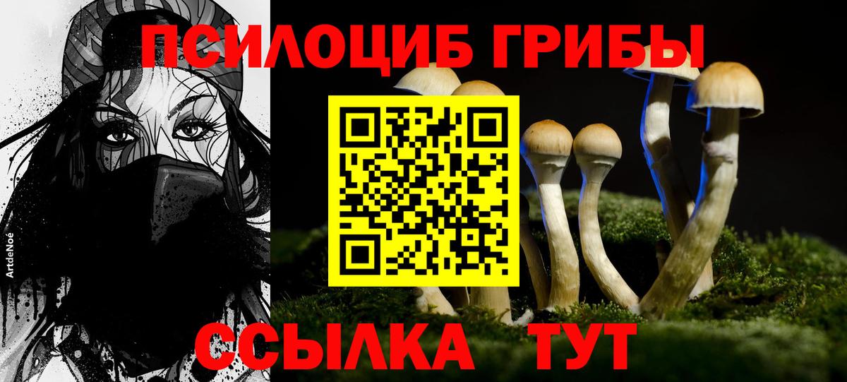 Галлюциногенные грибы Psilocybe Великий Устюг